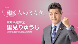 愛知選挙区_里見りゅうじ【政見放送】