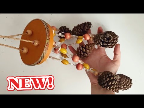 DIY 💫 Decorative Idea for Your Home with Pine Cones!