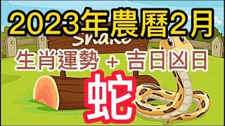 【古柏論命每月運勢 + 吉日凶日】2023年農曆二月(陽曆2/20 ~ 3/21)生肖運勢分享 -  蛇