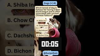 Dogs [+] #1 #shorts #trivia #swipe #quiz