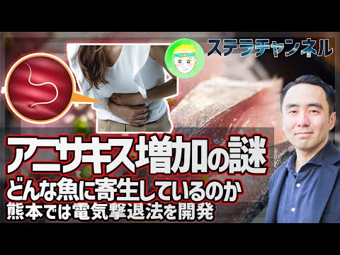 【アニサキス】解説、なぜ増えているのか、寄生するさかなの種類とは【NEWS、寄生虫、食中毒、クジラ、動物、健康】