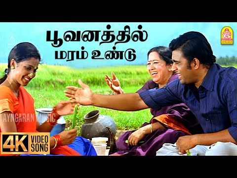 Poovanathil Maram - 4K Video Song | பூவனத்தில் மரம் உண்டு | Thambi | Madhavan | Pooja | Vidyasagar