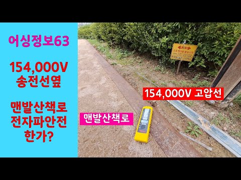 어싱정보63-맨발산책로가 154,000V송전선옆이라니-쉴드그린 전자파,어싱기술