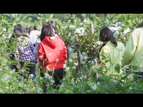 【現場活動紀錄】臺北市立景美女子高級中學2017寒假服務學習特輯