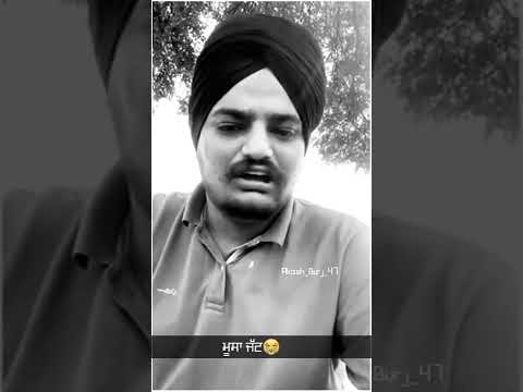 ਸਿੱਧੂ ਮੂਸੇਵਾਲਾ || miss you jatta || 295 #shorts status