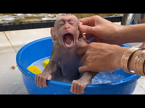 Adorable Baby Boy Sit For Mom Take A Bath Look is Very Cute