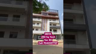 3BHK Builder Floor | 250 Sq Yard |Sec 85 #builderfloorinfaridabad #faridabadbuilderfloor #realestate