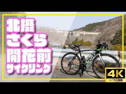 【ロードバイク】北摂さくら開花前サイクリング