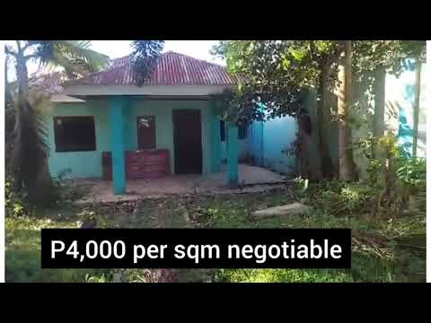 HOUSE AND LOT NEAR TAGAYTAY 1300SQM WITH FENCE, ALONG THE ROAD, 4K/SQM