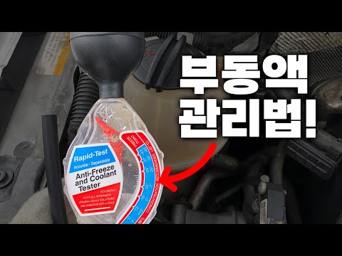 핑크색 부동액 관리팁!