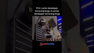 POV Junior developer removing bugs vs senior developer removing bugs