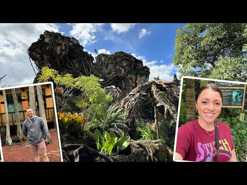 Disney World | The Hurricane Situation + Animal Kingdom AM & Hollywood Studios PM