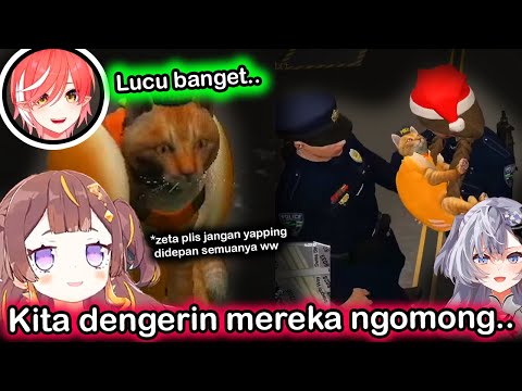 Anya Ngebawa Zeta (Kucing oren) Nongkrong Sama Anggota Yang Lain ww..