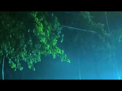 深夜雨林：深夜下雨声助眠，快速入眠，深度睡眠，冥想治愈失眠，焕发新的活力与愉悦#BGM#shortvideo #shorts #rainsounds #rain #sleepmusic #sleep