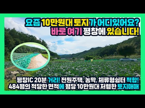 [급매] 10만원대 토지 찾는 분들 여기 있습니다! 평창IC 20분 484평 적당한 면적에 전원주택, 농막, 체류형쉼터 강추! 평창토지매매 평창부동산 - 한빠부TV #청산공인중개사