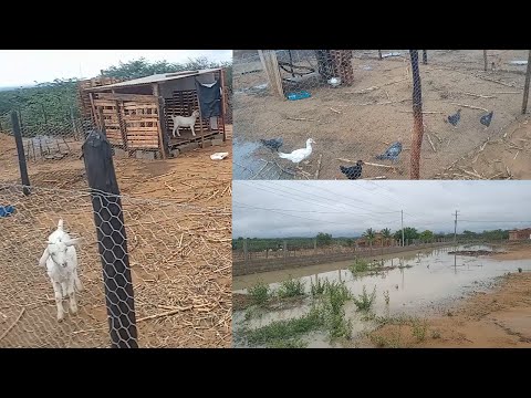 O que  aconteceu com a calha que comprei ela não suportou a chuva