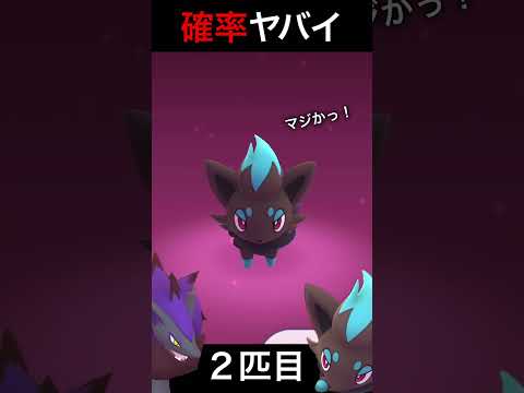 、、、か、確率どうなってるの！？#ポケモンGO#色違いゾロア#Shorts