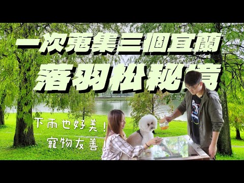 宜蘭員山一日遊，不能錯過的3個落羽松秘境，下雨天也美到翻掉。蜊埤湖、鄧伯花廊咖啡、北后寺、松參雞一雞四吃！寵物友善。浮誇搞笑的一家人再次出動！ft. Ana Luisa