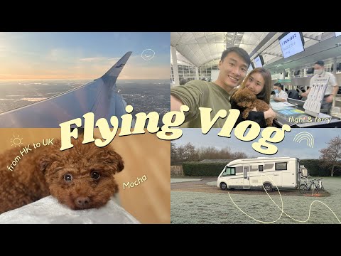 VLOG | 帶Mocha由香港坐飛機✈️轉機再轉船🚢去英國 | 16小時全程都好淡定飛機還有位置坐? 抵達法國🇫🇷取回露營車再轉搭船去英國🇬🇧過程全紀錄加船上精華片段 | nikki & kiho