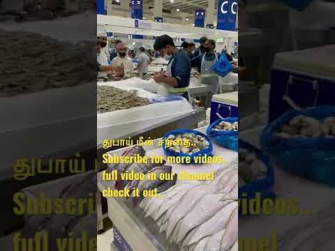 Dubai fish market./Upcoming vlog./crab./prawns./water front market in dubai./