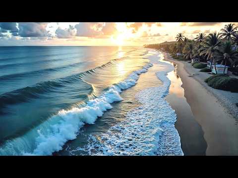 Relaxing Music for Sleeping and Deep Relaxation, Ocean Waves, Seagull Sounds - Stress Relief, Relax