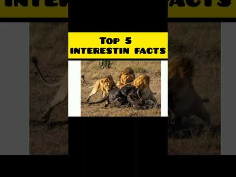 Top 5 interesting  fact !! Top 5 fact hindi #viralshorts #viral #shorts