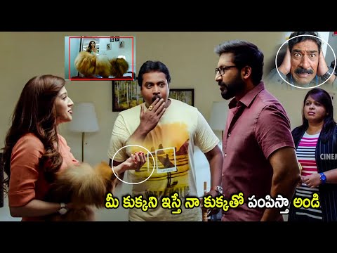 Mehreen Pirzada & Gopichand Movie Super Hit Scene | Telugu Movies | Cinema Chupistha