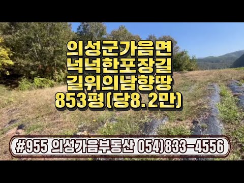 #955 의성가음부동산 계곡중턱 언덕위 확트인 남향 채소밭 853평 7000만 (당8.2만원) 전기가능 건축가능 큰차진입 개울물철철 조용한곳 청정지역 주말농장용 #의성땅