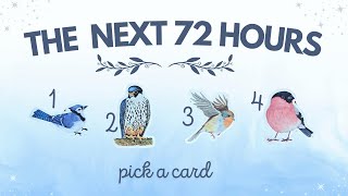 ✨ The Next 72 Hours! Predictions! 🔮✨ | PICK A CARD Timeless Tarot Reading