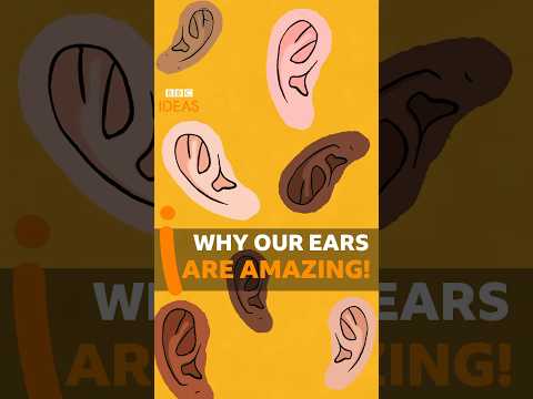 Why our EARS are amazing! #Science #Shorts #BBCIdeas