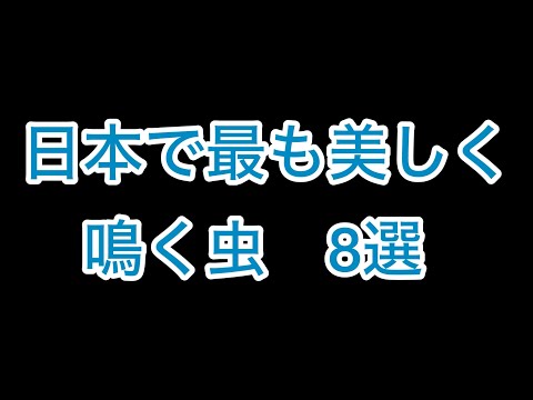 日本の美しく鳴く虫　８選（聞き比べ）