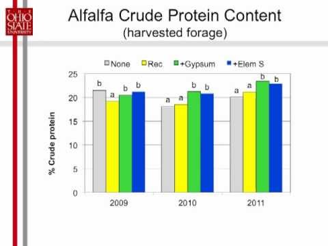 Alfalfa Response to Sulfur, Gypsum and Reduced Rates of P and K