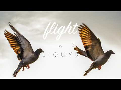 LiQWYD - Flight [Official]