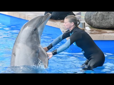 Avalon Deep Water Session - Dolphin Amphitheater at SeaWorld San Diego - June 16, 2024