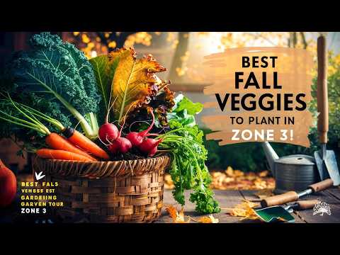 Top Fall Vegetables to Plant for Zone 3: Full Guide to Fall Gardening Success