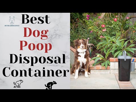 Best Dog Poop Disposal Containers