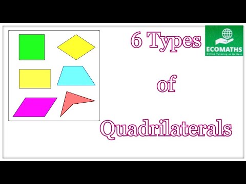 Six types of Quadrilaterals/ 6 Types / Geometry / 4 sides / square / rectangle / parallelogram