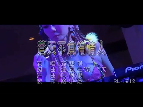 孫藝琪 | 蒼天不負有情人 | (DJ版) | (1080P)KTV