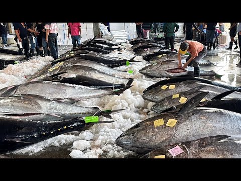 Consummate Cutting Skill！Huge Bluefin Tuna Cutting Show