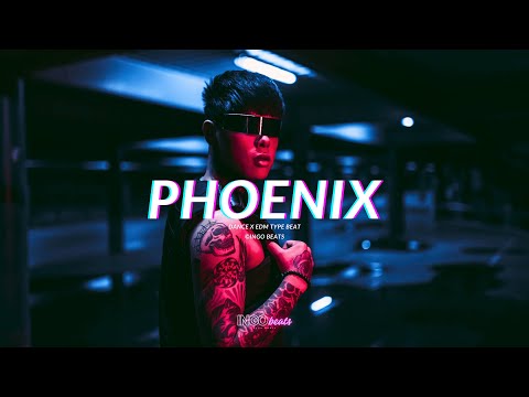 Dance Type Beat 2024 - "Phoenix" I EDM Type Beat