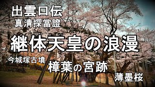 出雲口伝の継体天皇　真清探當證の出生の秘密　即位の樟葉宮　お手植え うすずみ桜　 今城塚古墳