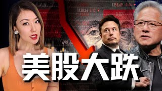 美股大跌！现在是入场的时机，还是更大危机的开始？| 2025美股还能投吗？