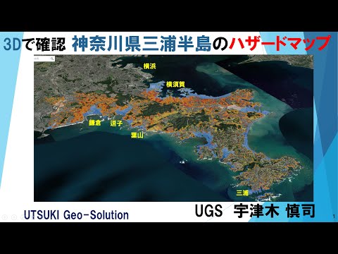 3Dで確認するハザードマップ⑲　神奈川県三浦半島 津波･洪水･土砂災害