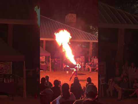 Ember Fire Arts | #ncstatefair #2024shorts