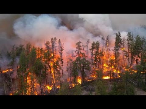 A University of Maryland Study Shows the Health Impact of the Canadian Wildfires