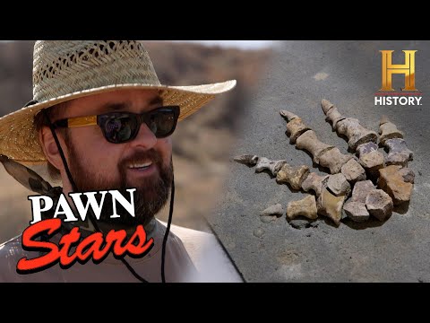 Pawn Stars: Rick and Chum Score a $5,000 Fossil (Season 21)