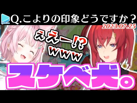 初タイマンのアンジュからスケベ犬認定されてしまう博衣こより【2023.07.24/ホロライブ切り抜き】