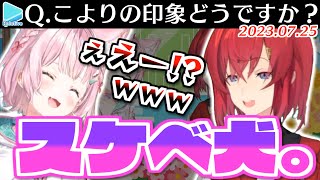 初タイマンのアンジュからスケベ犬認定されてしまう博衣こより【2023.07.24/ホロライブ切り抜き】