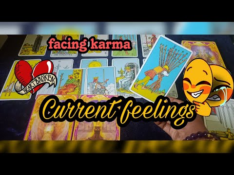 Their Current feelings all sign collective timeless reading #currentfeelings#tarot