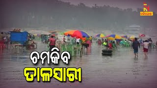 Talsari-Udaipur Beach will Shine After Puri- Konark Chandrabhaga | NandighoshaTV